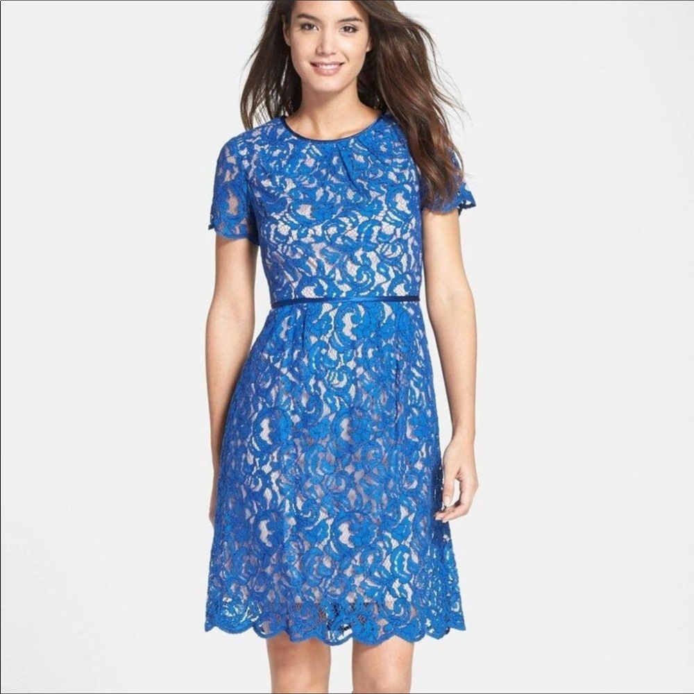 Adrianna Papell Scalloped Lace Dress Size 2